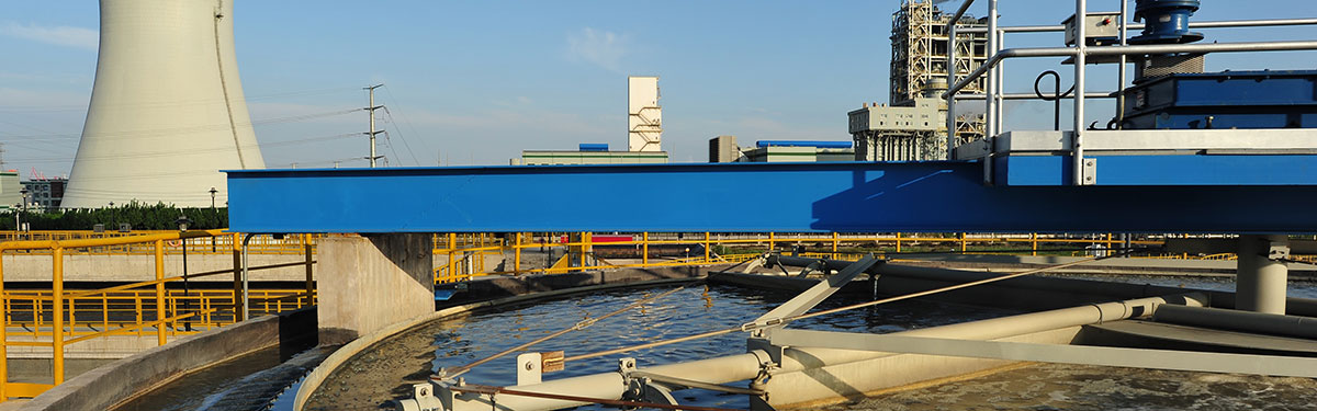 Commercial and Industrial 商业和工业