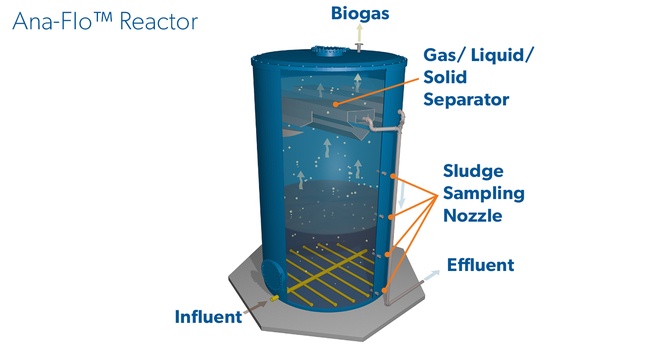 Anaflo反应堆渲染
