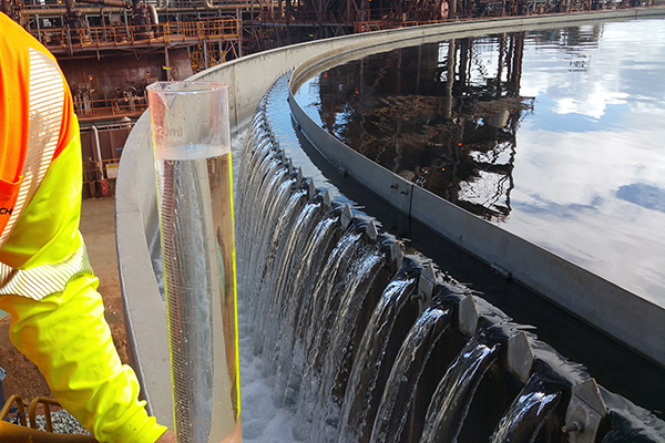 Evenflo Feedwell清除水测试