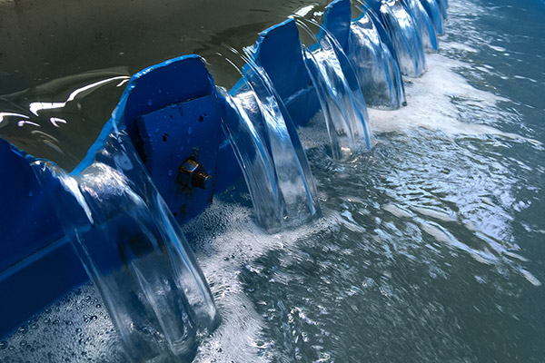 Evenflo Feedwell清澈的水