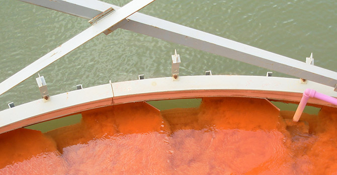 Westech自我稀释饲料